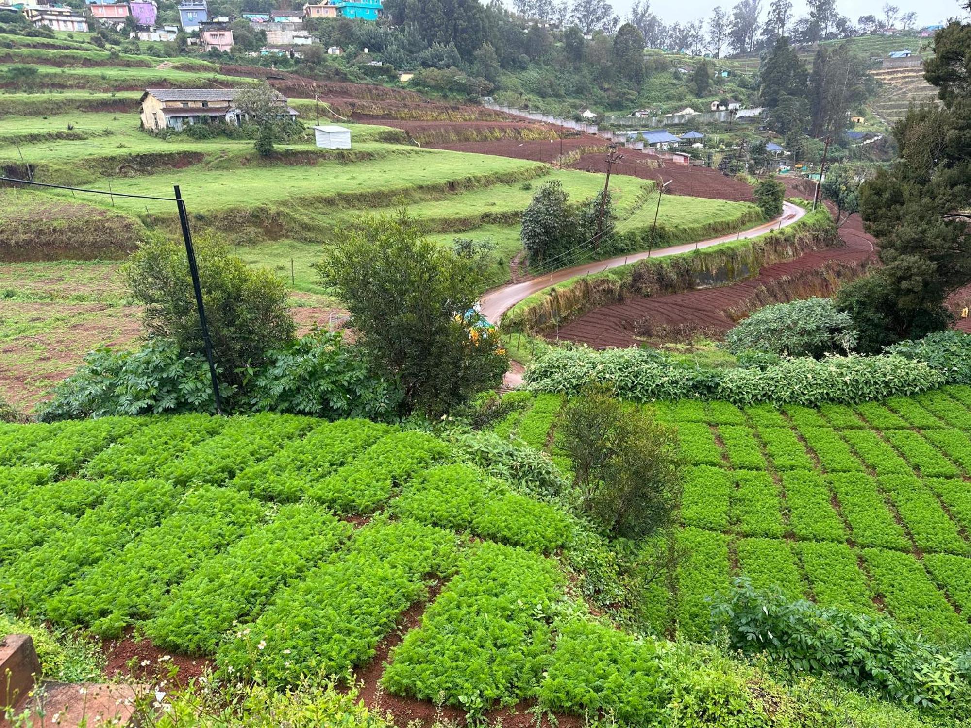 Kanjira House Ooty Exterior foto